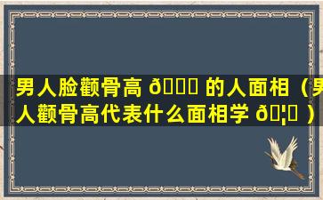 男人脸颧骨高 🐅 的人面相（男人颧骨高代表什么面相学 🦟 ）